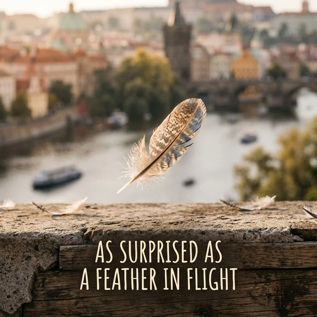 As surprised as a feather in flight 